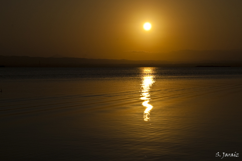 En el estanque dorado